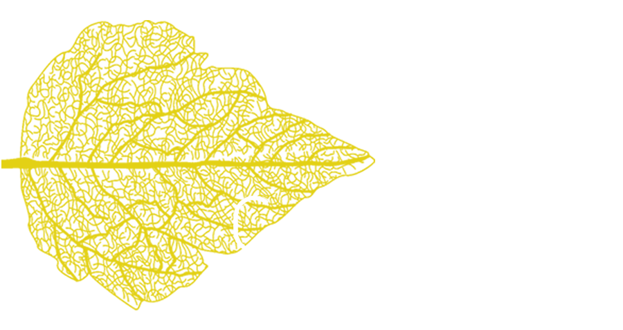 Centro de medicida, estética, fisioterapia yu osteopatía Cores Salud